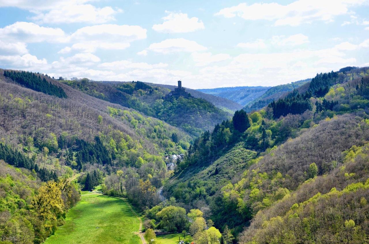 Pension "Haus Am Walde" Brodenbach, Mosel ภายนอก รูปภาพ