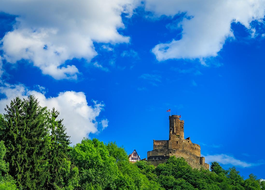 Pension "Haus Am Walde" Brodenbach, Mosel ภายนอก รูปภาพ