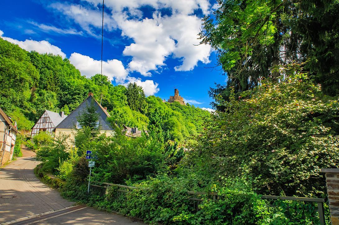 Pension "Haus Am Walde" Brodenbach, Mosel ภายนอก รูปภาพ