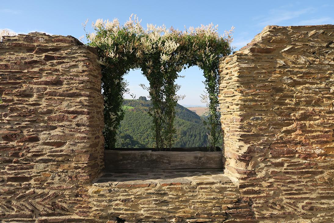 Pension "Haus Am Walde" Brodenbach, Mosel ภายนอก รูปภาพ